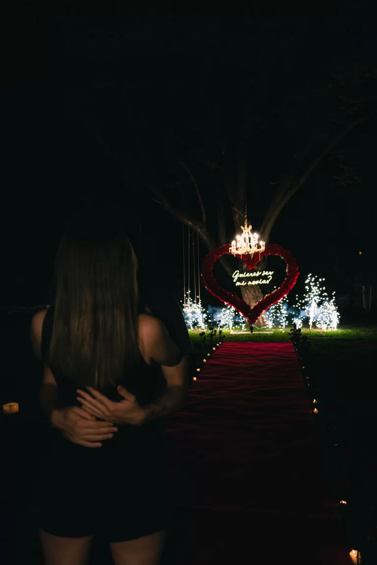 propuesta de noviazgo, volopapilio