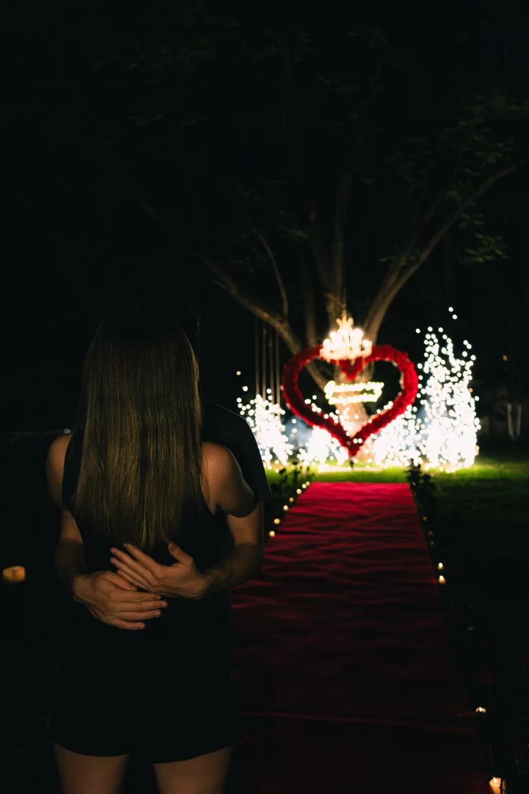 propuesta de noviazgo, volopapilio