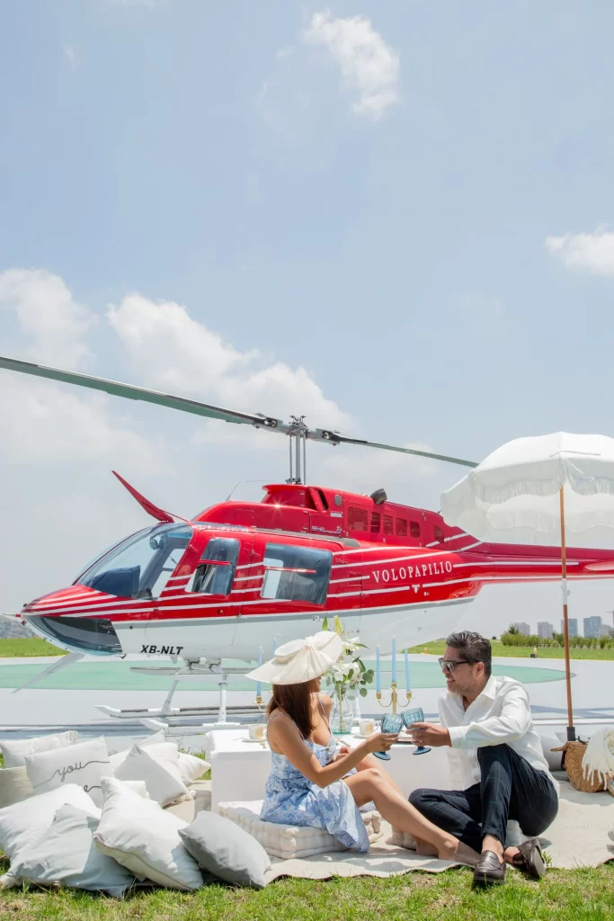 propuesta de matrimonio, volopapilio