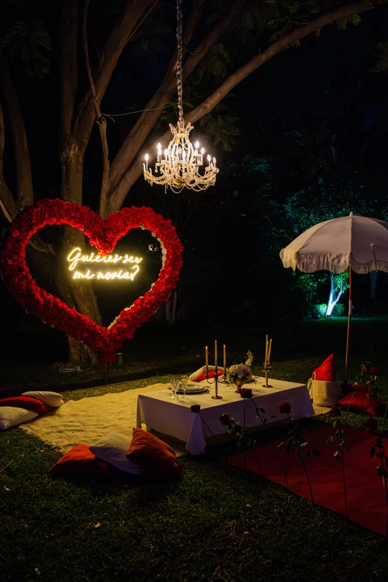 propuesta de noviazgo, volopapilio