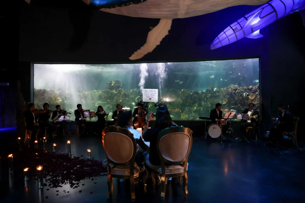 propuesta de matrimonio, volopapilio