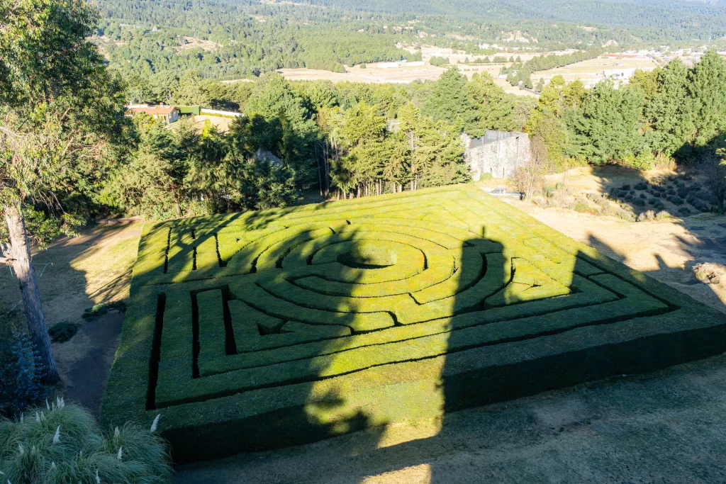 propuesta de matrimonio, volopapilio