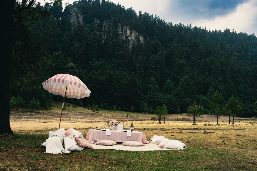 propuesta de matrimonio, volopapilio