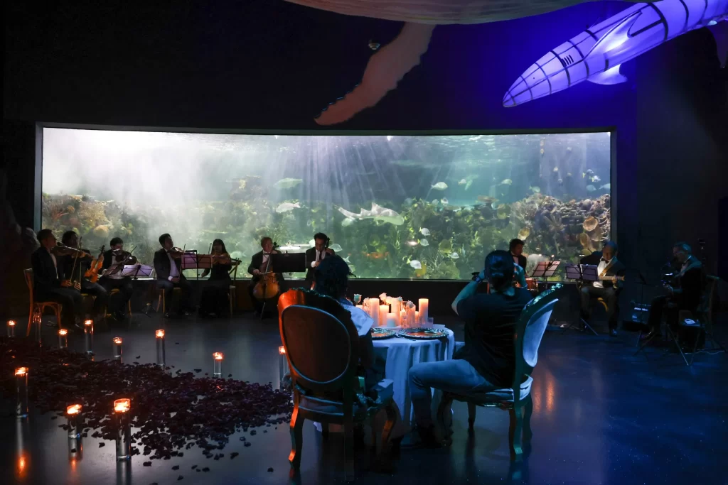 propuesta de matrimonio, volopapilio