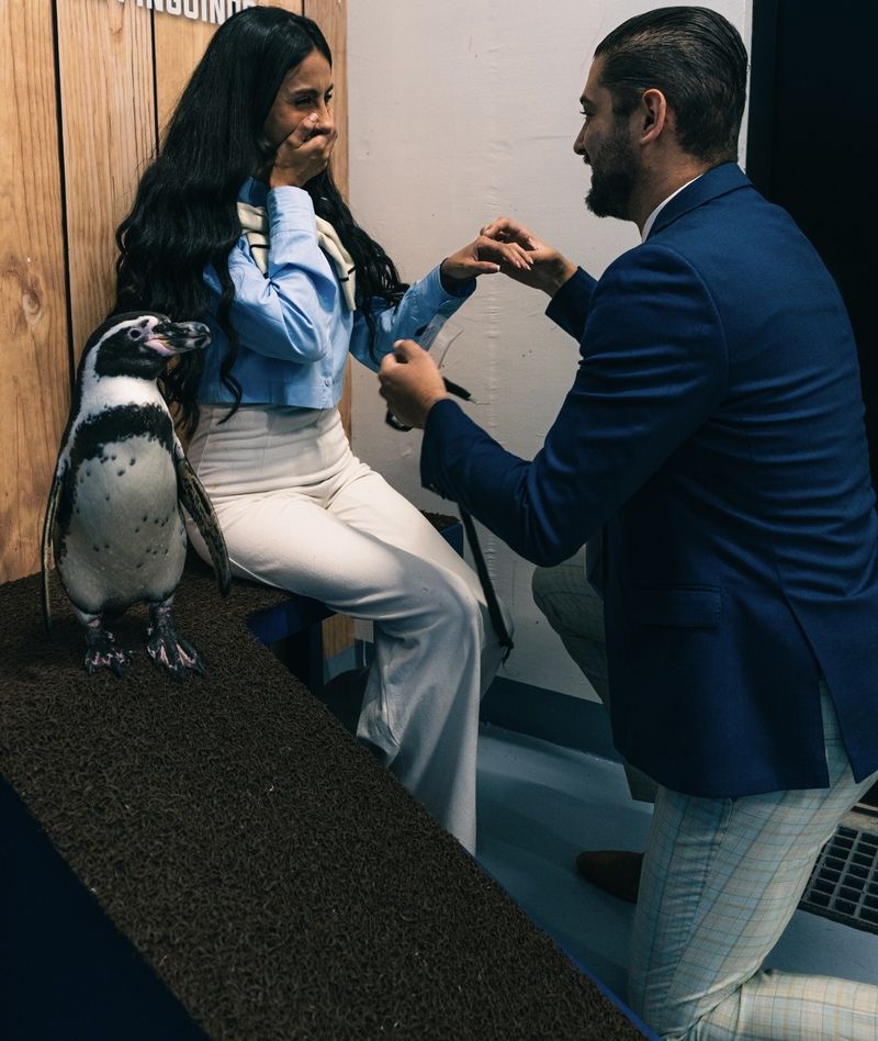 pedidas de matrimonio, pedidas de mano, paquetes para pedidas de mano