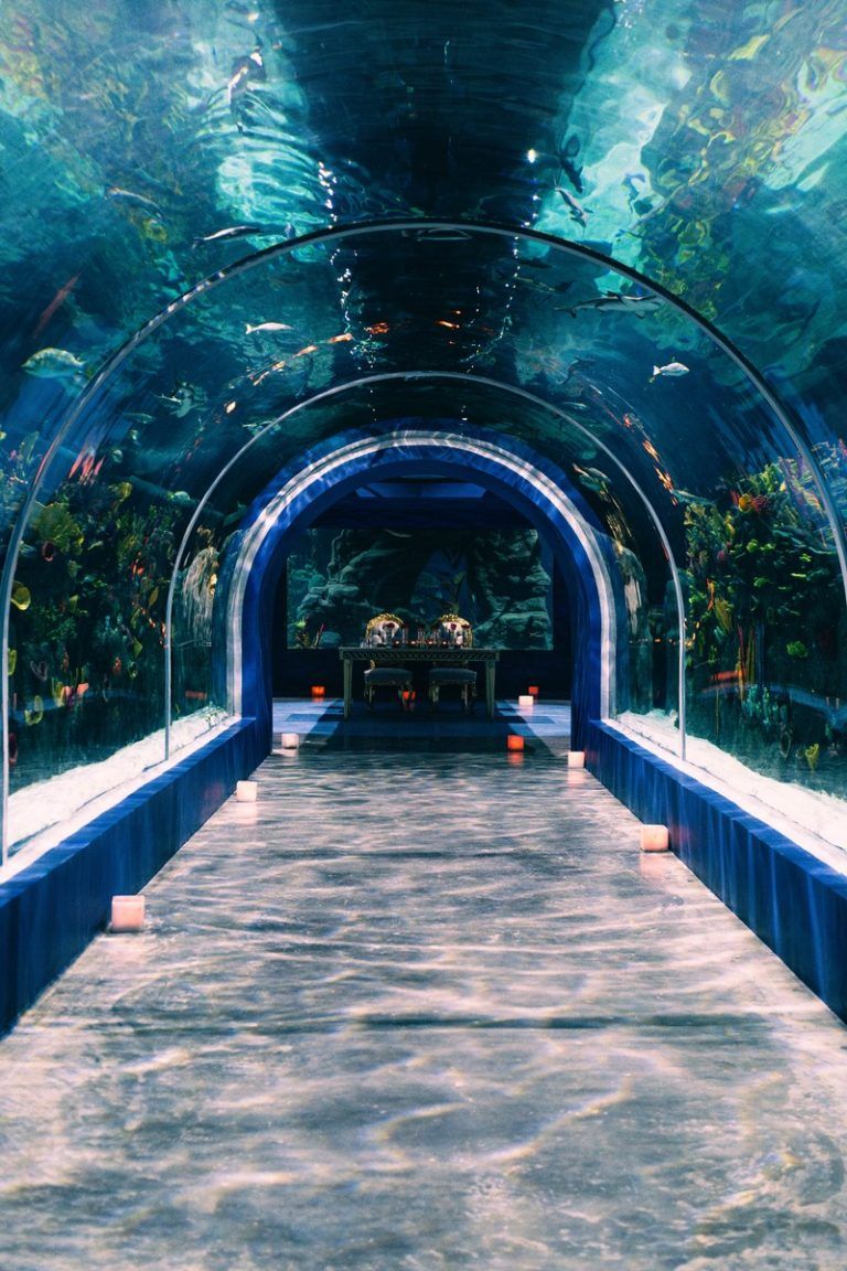 lugares para cena en pareja cdmx, cenas romanticas, cenas romanticas cdmx