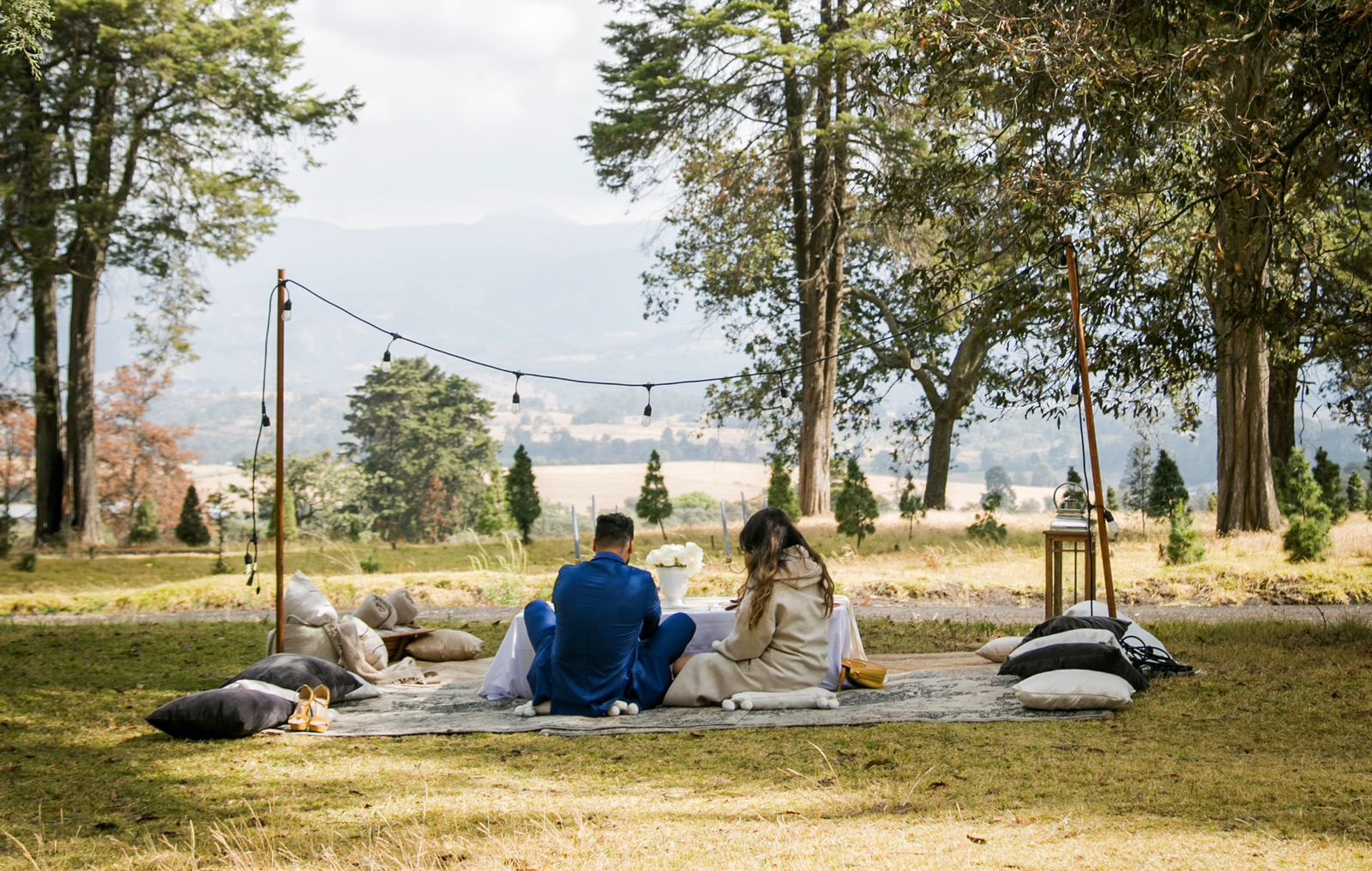 WhatsApp Image 2026-01-14 at 11.37.29 AM (2)