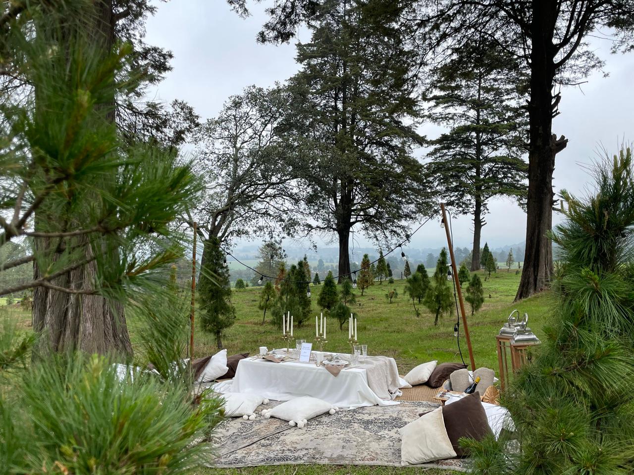 WhatsApp Image 2026-01-14 at 11.37.29 AM