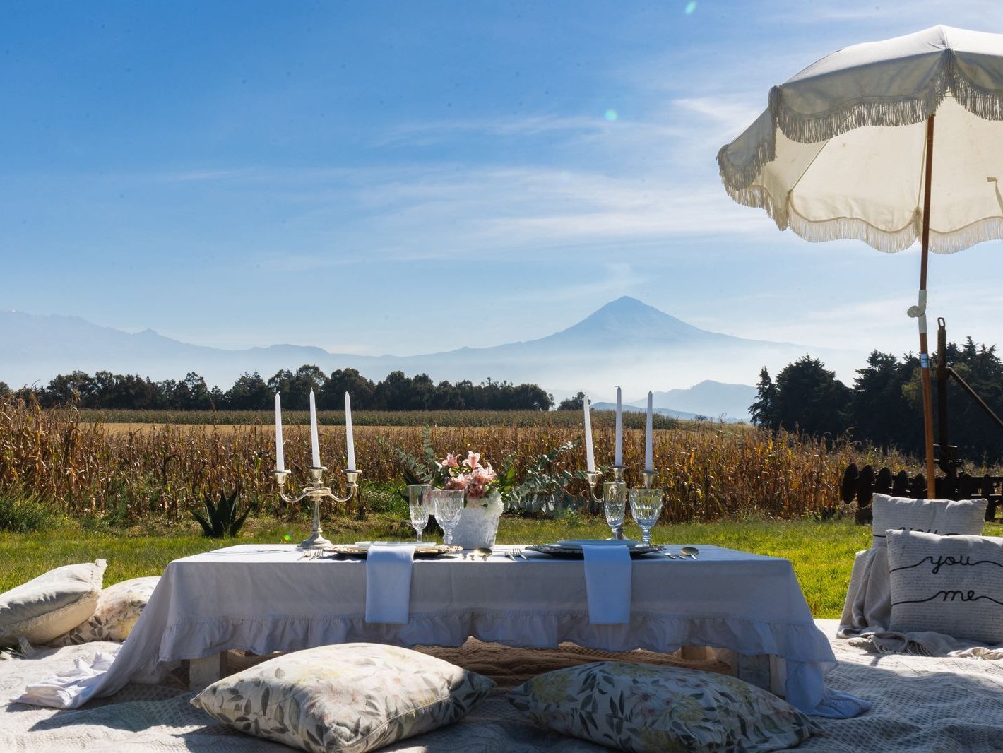 WhatsApp Image 2026-01-14 at 11.40.10 AM (1)