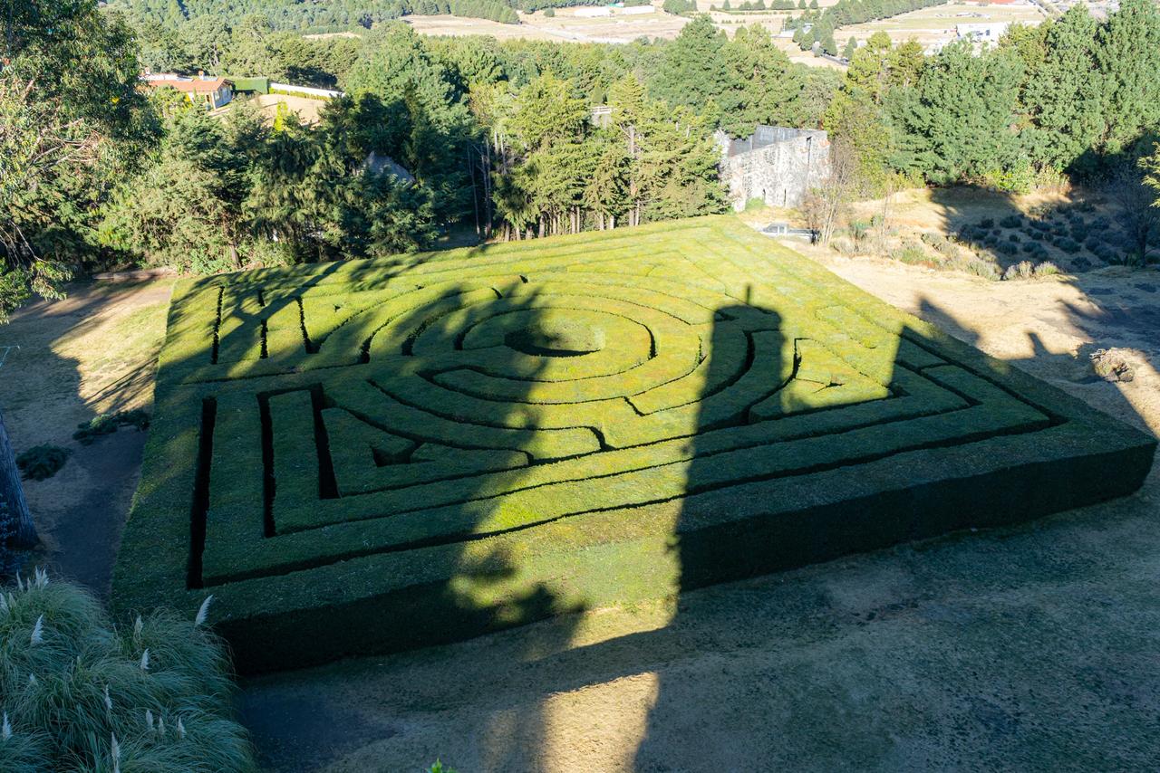 WhatsApp Image 2026-01-14 at 11.41.35 AM (1)