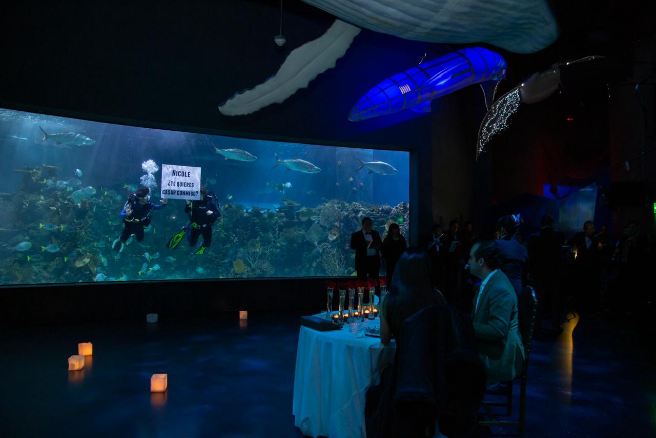 WhatsApp Image 2026-01-15 at 11.44.58 AM (1)