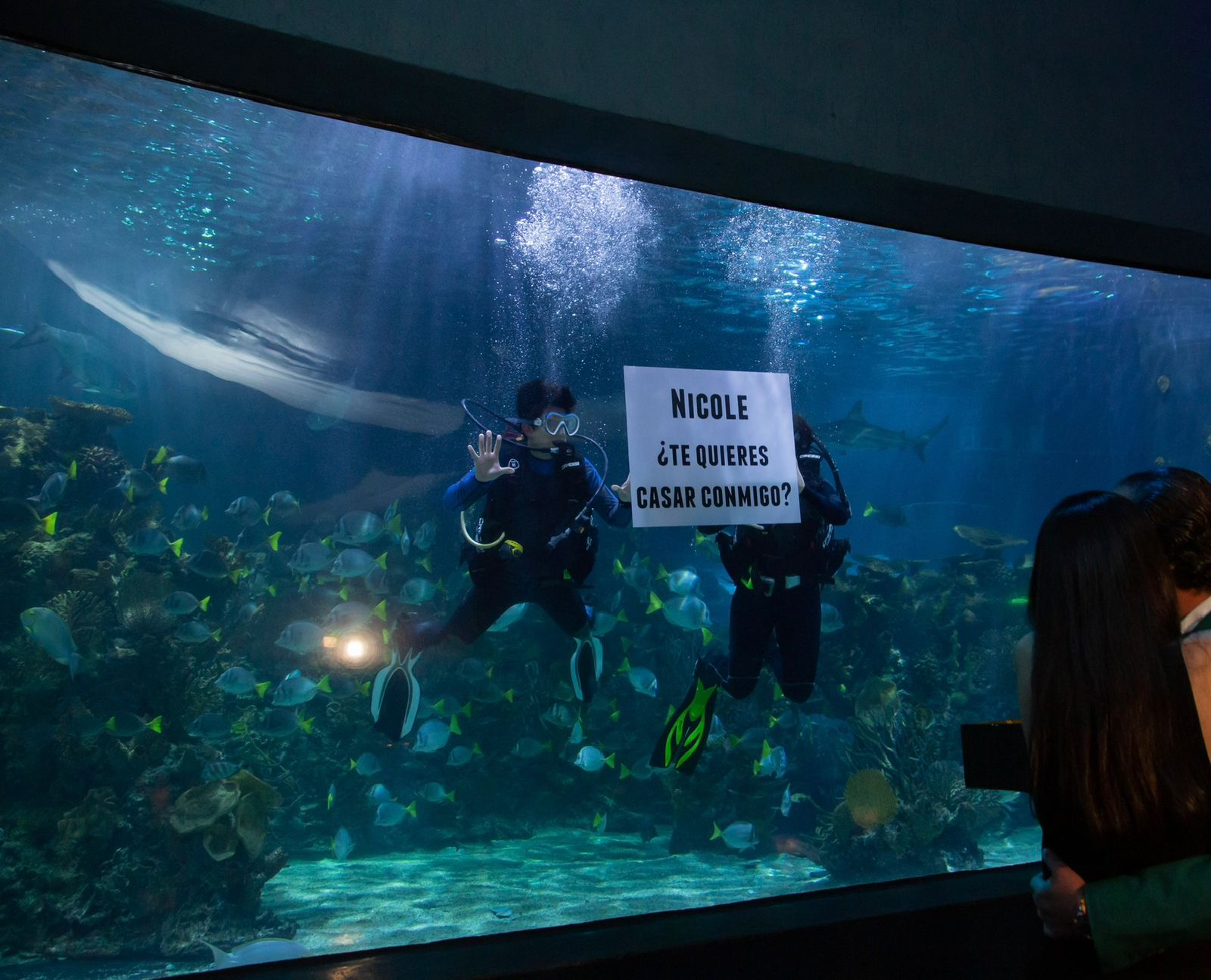 WhatsApp Image 2026-01-15 at 11.44.58 AM