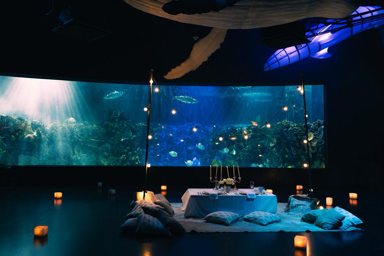 WhatsApp Image 2026-01-15 at 11.44.59 AM (1)