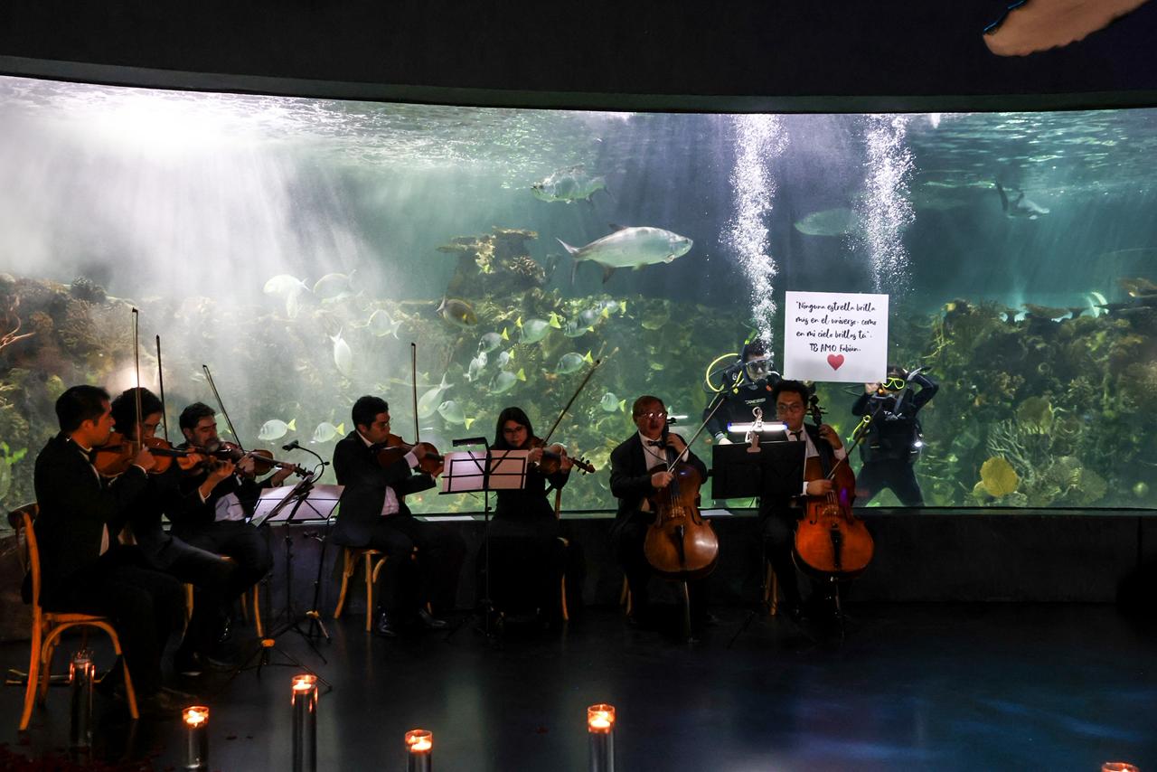 WhatsApp Image 2026-01-15 at 11.44.59 AM