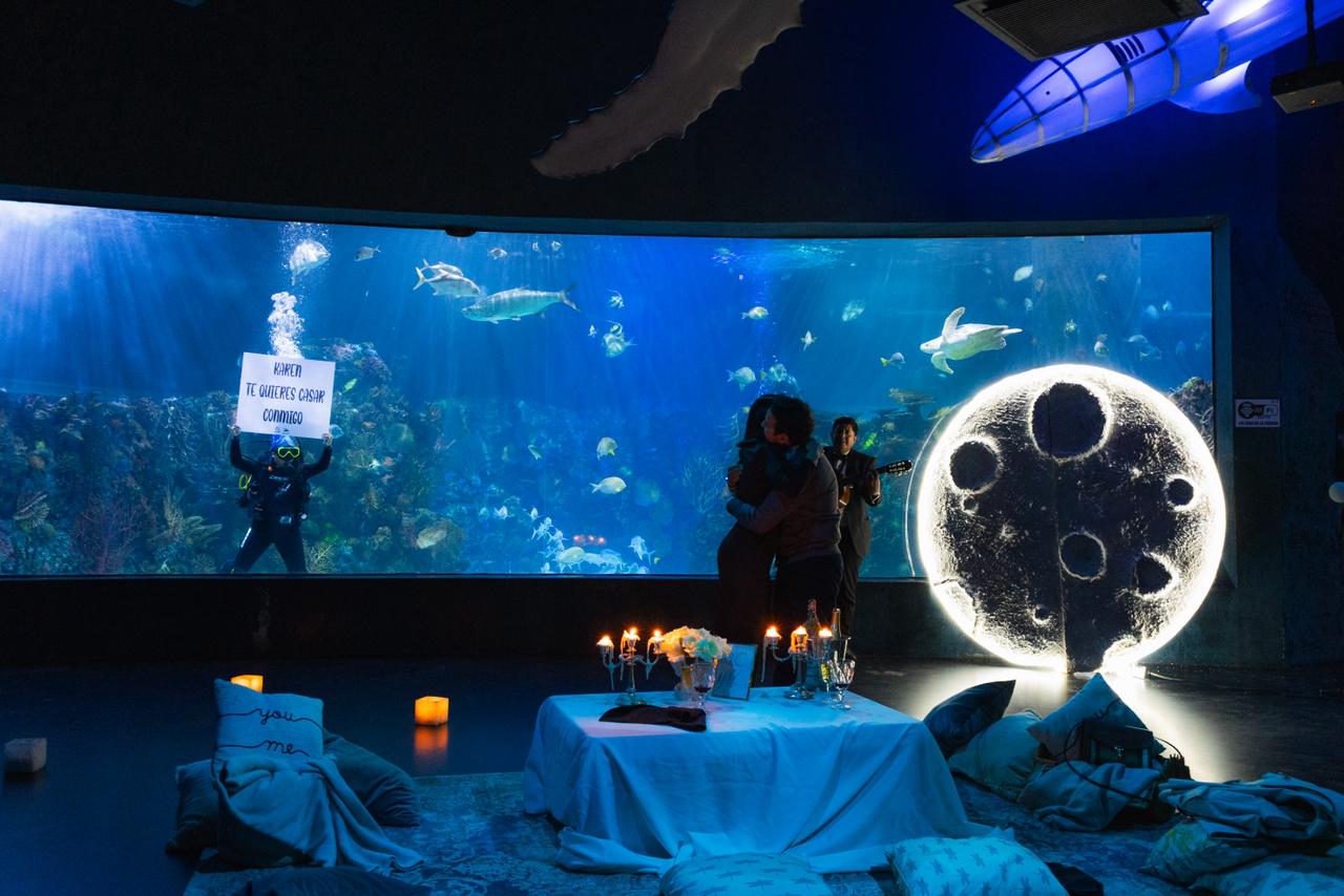 WhatsApp Image 2026-01-15 at 11.45.00 AM