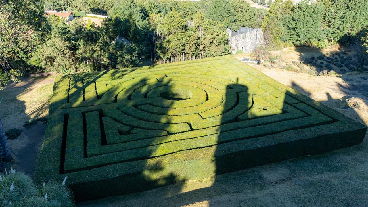 WhatsApp Image 2026-01-15 at 11.46.23 AM