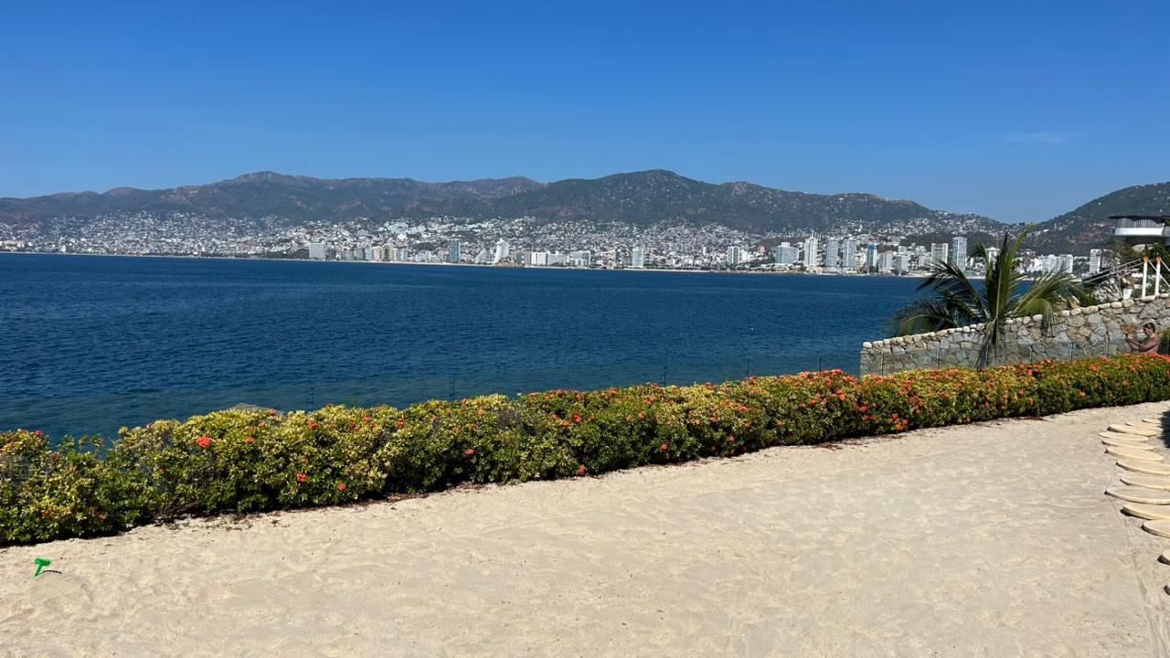 WhatsApp Image 2026-01-15 at 11.52.59 AM